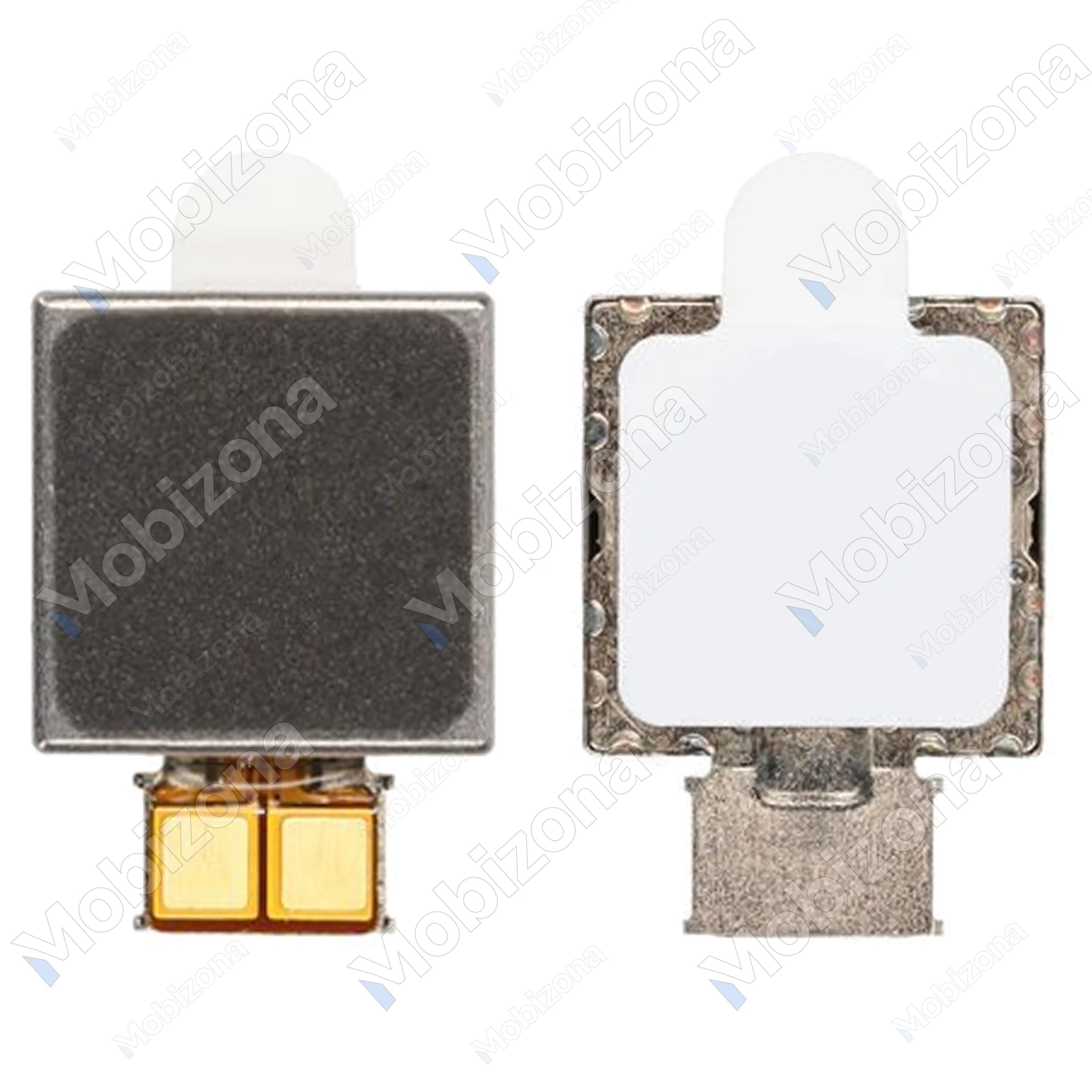 Samsung Galaxy Note 10+, Galaxy S20+ vibration motor