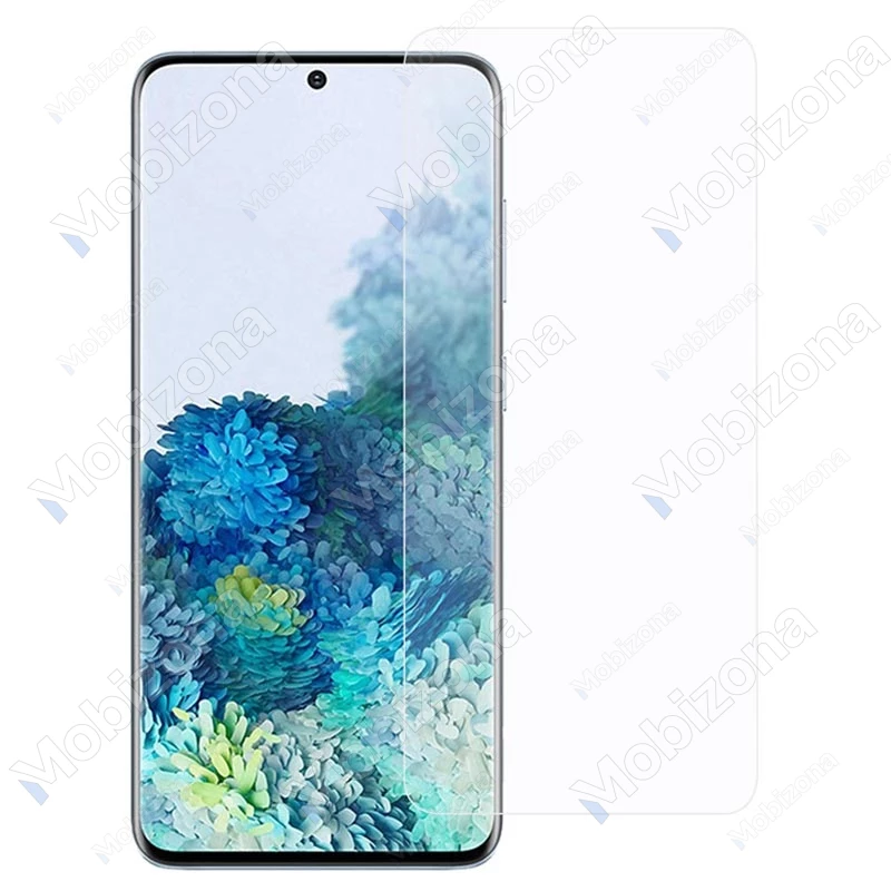 Samsung Galaxy S21 FE 5G apsauginis stiklas 9H