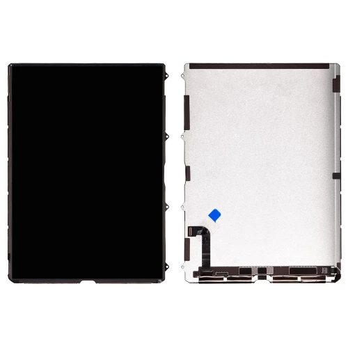 Apple iPad 10.9 (10th gen) ekranas