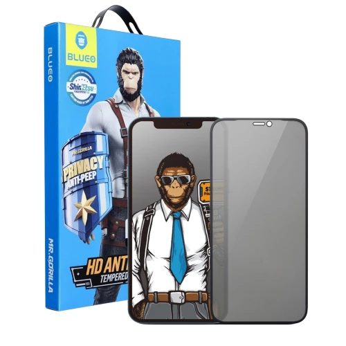 iPhone X, iPhone XS, iPhone 11 Pro skirtas apsauginis stiklas Blueo Privacy Anti-Peep