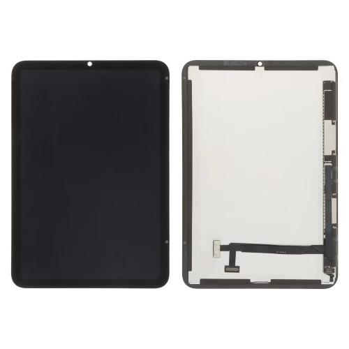 iPad mini (2024) Screen