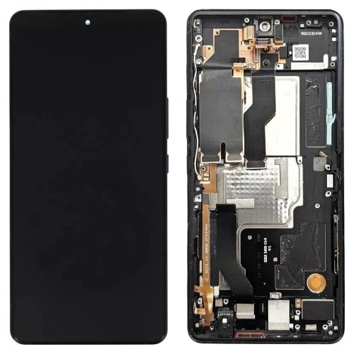 Asus ROG Phone 8, ROG Phone 8 Pro ekranas